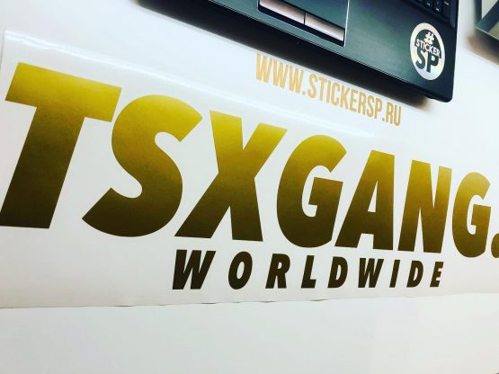 Наклейка TSX Gang